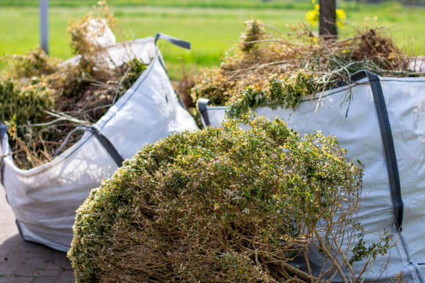 Best Dumpster Rental Services  in Wyoming, OH