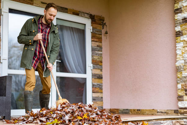 Debris Removal in Wyoming, OH